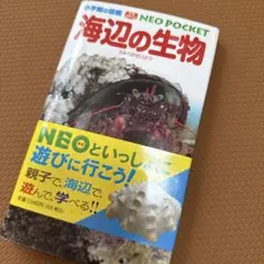 Item thumbnail for item 81e73469-8cd7-4223-8bf0-f9f6b06d6176