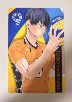 ハイキュー!!/影山飛雄 ポートレートカード