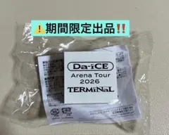 ⚠️9/22日処分‼️ 【匿名配送】Da-iCE TERMiNal ハンコ