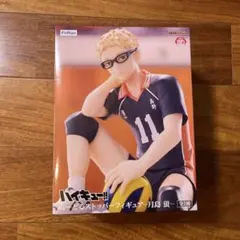 ハイキュー!! 月島蛍 フィギュア