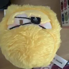 カラフルピーチ　カラピチ　くるみたぴぬい　たっつん