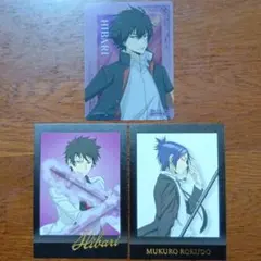 家庭教師ヒットマンREBORN ぱしゃこれ アニメイト 特典 雲雀恭弥 六道骸