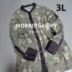 美品✨️モリスギャラリーフェリシモ　クレリックシャツ　長袖　 ピンパネル柄のサムネイル