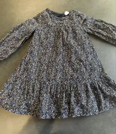 Item thumbnail for item 11fdf265-2e0f-4a10-9e6f-052b74d4397d