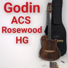 2026年最新】Godin ACSの人気アイテム - メルカリ