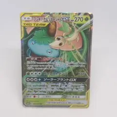 ポケカ フシギバナ＆ツタージャGX RR