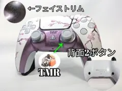 PS5　デュアルセンス　DualSense カスタムコントローラー　Void