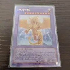 2025年最新】神光の龍 25thの人気アイテム - メルカリ