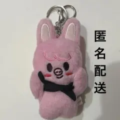 2026年最新】StrayKids skzoo マグネットキーリングの人気アイテム