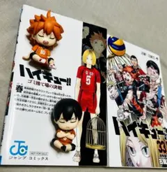 Haikyuu ハイキュー!! 第33.5巻 特別版2セット