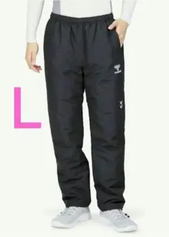 Item thumbnail for item 4d4c0fc2-d85d-405d-8879-b98364c11f66