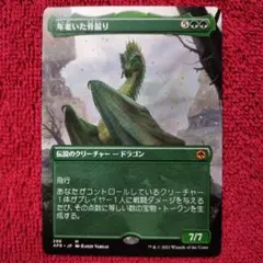 2025年最新】年老いた骨齧りの人気アイテム - メルカリ