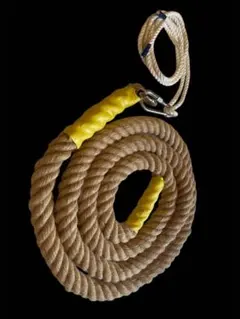 Item thumbnail for item f724f7e6-1af7-4418-8a69-8da8239b02b3