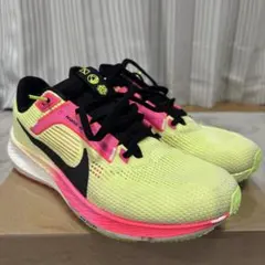 Nike air zoom ペガサス40 26cm