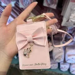 香港ディズニー　ミニーマウスとシェリーメイ　カード入れ