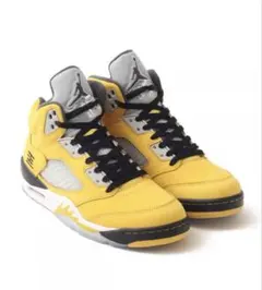 Nike Air Jordan 5 Retro 