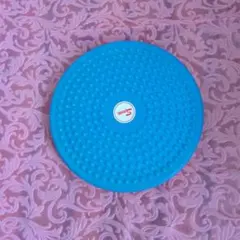 ✼エクササイズ用青いバランスボード✼