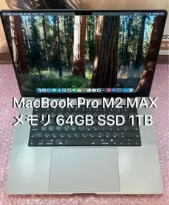 MacBook Pro M2 MAX 2023 16インチ 64GB 1TB