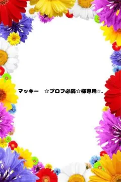 2026年最新】プロフ必読の人気アイテム - メルカリ