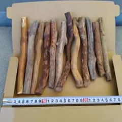 Item thumbnail for item be757f1a-0956-40ff-b99e-7740447deea0