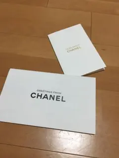 CHANEL化粧品　　2019カタログ　2セット