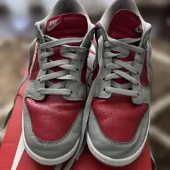 28cm　ナイキ　スニーカー　ダンク ロー　FQ6965　600