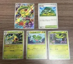 ルンパッパ AR 進化ライン 活力の森各1枚セット