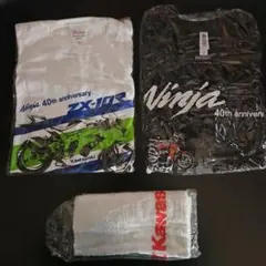 Item thumbnail for item 4f748291-d200-4880-8776-417dabe484cd