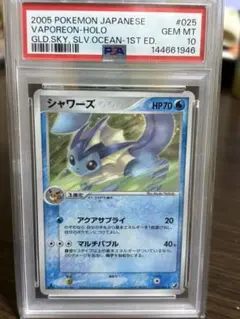 サンダース ex シャワーズ ex ブースター ex ホロンの研究塔 ホロ サンダース ex シャワーズ ex ブースター ex ホロンの研究塔 ホロ