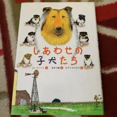 Item thumbnail for item 89e961b8-6d50-4aad-8ad2-6ea81d55e3e5