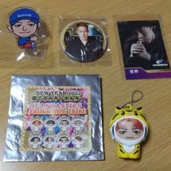 2026年最新】LDH PERFECT YEAR 2020 の人気アイテム - メルカリ