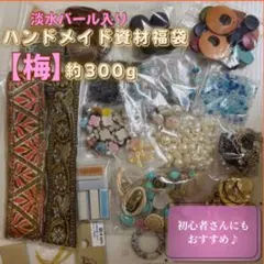 0919【珍種】完熟NK14梅 2Lサイズ2kg 梅干し用 キルトパッチ梅店