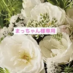 まっちゃん様専用　レジンポニーフック(かすみ草)