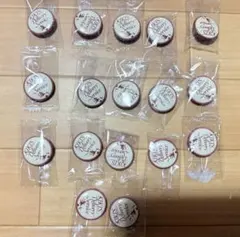 ジブリ　ジブリがいっぱい缶バッジコレクション　魔女の宅急便　17個セット