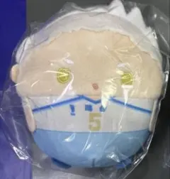 ハイキュー　D賞ぬいくじ　星海