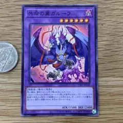 2026年最新】共命の翼ガルーラ 遊戯王の人気アイテム - メルカリ