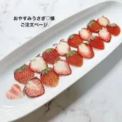 おやすみうさぎ♡様ご注文ページ　押しフルーツ