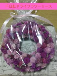 千日紅ドライフラワーリース　小さめ