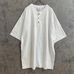 Dickies Tシャツ L ホワイト