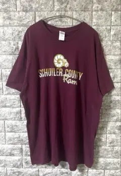 US古着 GILDAN カレッジ系プリントTシャツ バーガンディ 状態美品