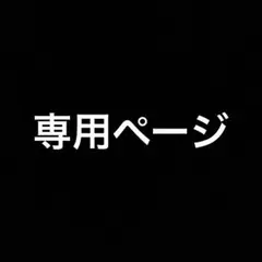専用ページ