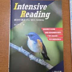 2026年最新】intensive reading 田上の人気アイテム - メルカリ