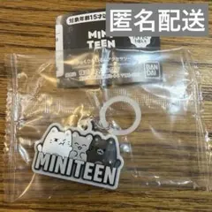 ミニティーンぷっくりめじるしアクセサリー ジュン　ガチャ　MINITEEN