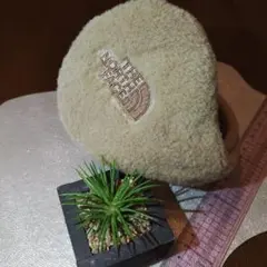 イヤーマフラー