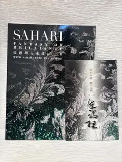 【新品】佐波理の本とパンフレットのサムネイル