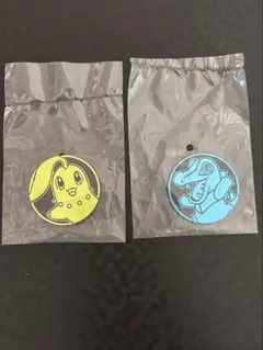 ポケモンコインコレクション第6弾　チコリータ　ワニノコ