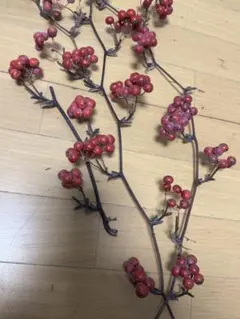 サンキライの実 山帰来 枝つき ドライフラワー リース スワッグ 花材