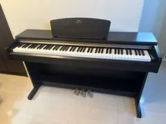 2026年最新】ヤマハ アリウス ydpの人気アイテム - メルカリ