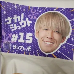 サンフレッチェ スポーツ選手