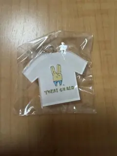 東海オンエア　ガチャガチャ　ガチャ　キーホルダー　Tシャツ　ピースの二乗のサムネイル